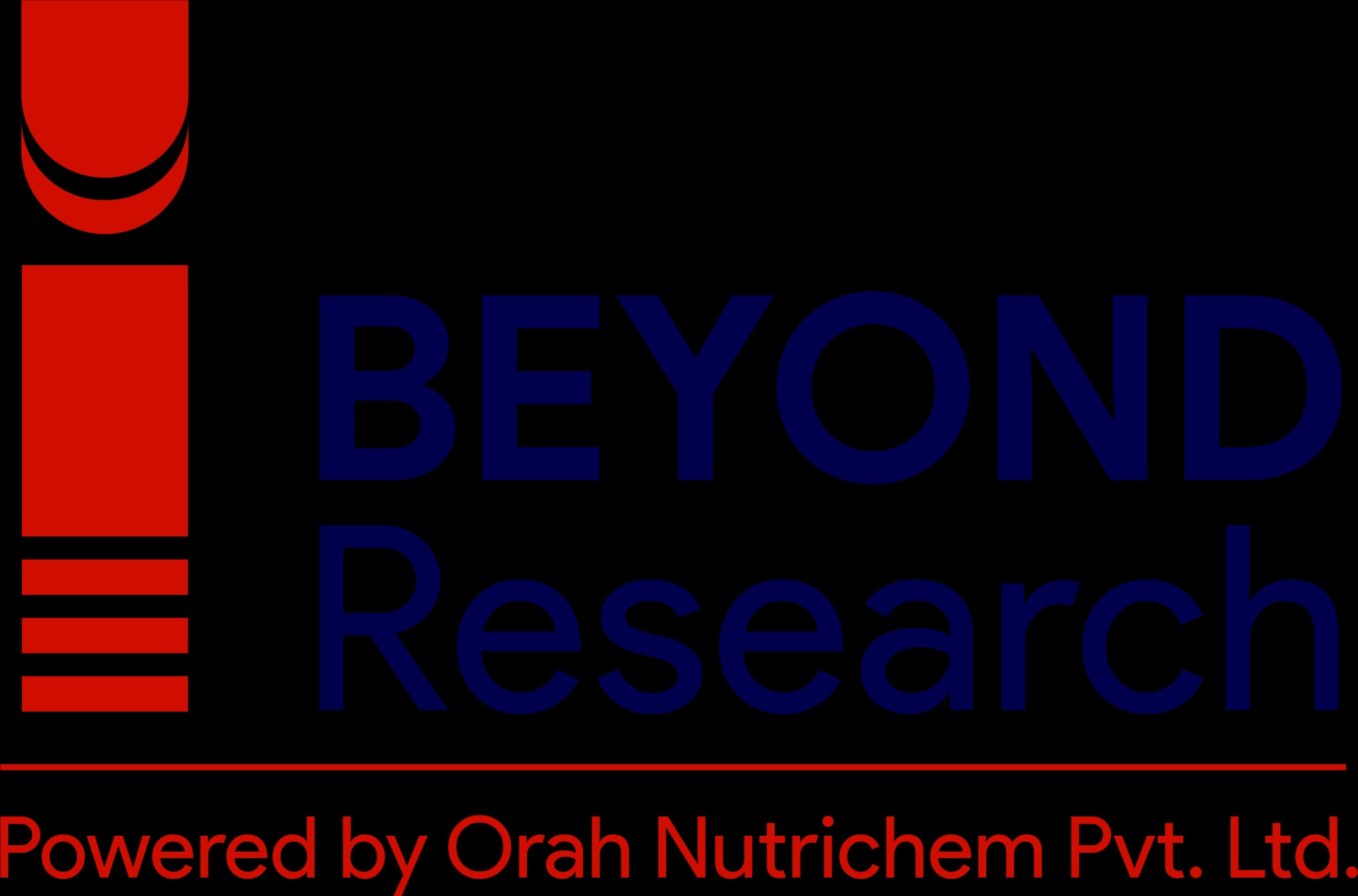 BRISC Logo